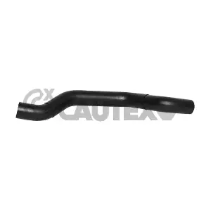 754182 CAUTEX