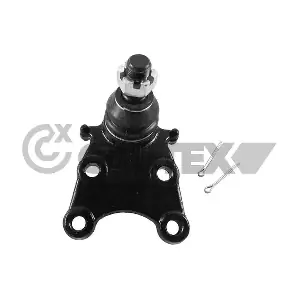755082 CAUTEX