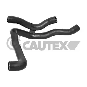 773578 CAUTEX