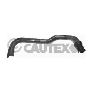 036246 CAUTEX