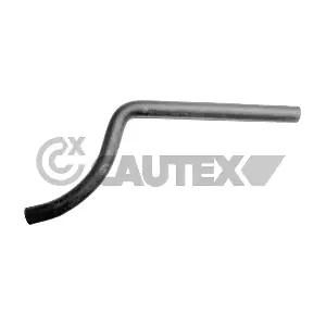 036418 CAUTEX