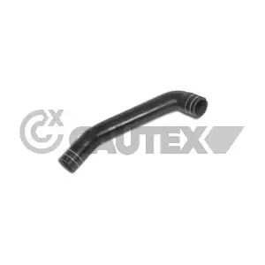 011351 CAUTEX