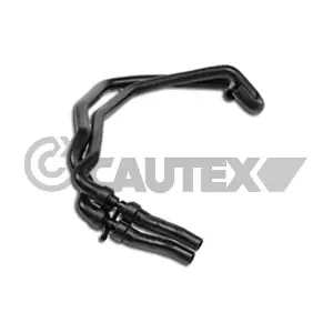 481115 CAUTEX