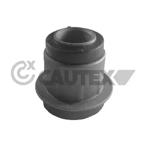 011098 CAUTEX