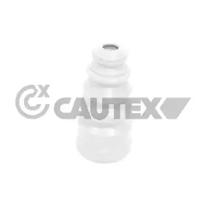 762396 CAUTEX