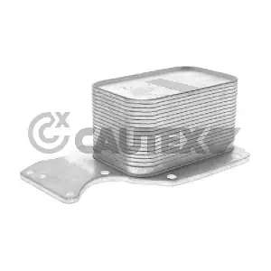 775971 CAUTEX