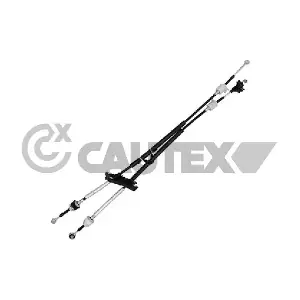774974 CAUTEX