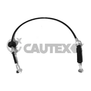 766366 CAUTEX