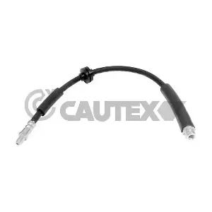 756091 CAUTEX