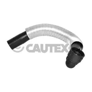 753302 CAUTEX