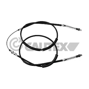 CAUTEX 018983
