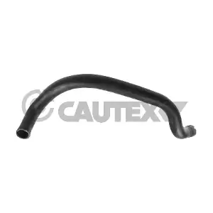 086194 CAUTEX
