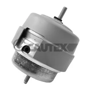 462624 CAUTEX