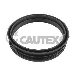 769986 CAUTEX