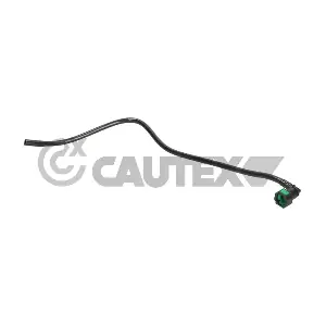 776310 CAUTEX
