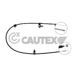 762812 CAUTEX