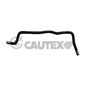 765594 CAUTEX