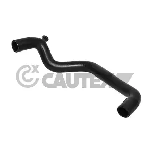 031345 CAUTEX