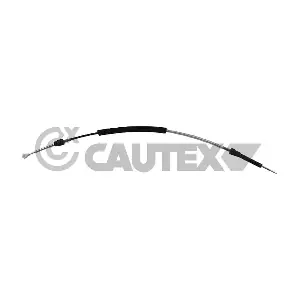 769388 CAUTEX