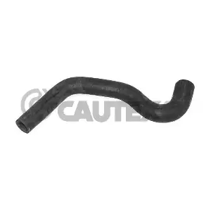 036248 CAUTEX
