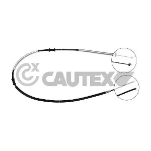 019038 CAUTEX
