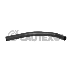 754136 CAUTEX