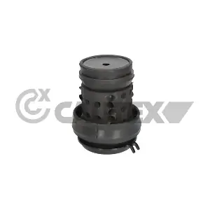 776203 CAUTEX