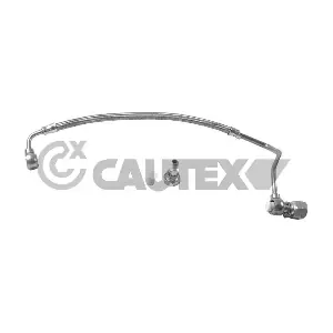 770013 CAUTEX