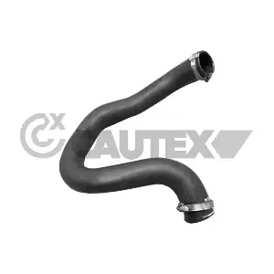 769777 CAUTEX