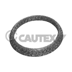 751971 CAUTEX
