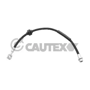 755945 CAUTEX