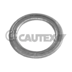 952031 CAUTEX