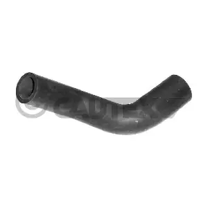 031078 CAUTEX