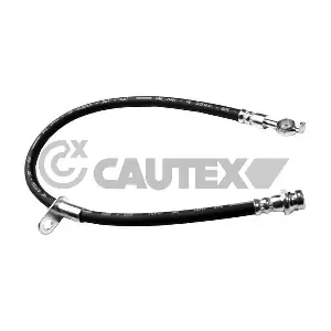 756117 CAUTEX