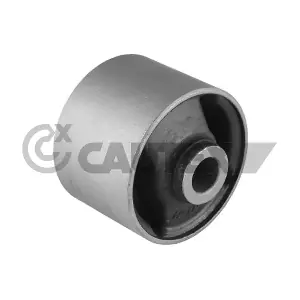 752318 CAUTEX