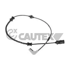482536 CAUTEX