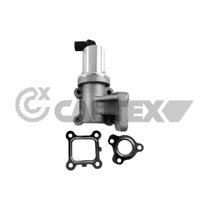 772081 CAUTEX