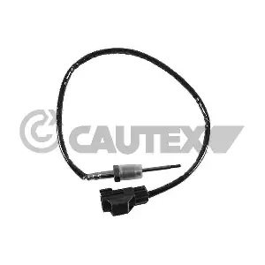 771152 CAUTEX