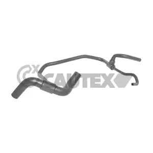016026 CAUTEX