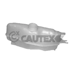 061008 CAUTEX