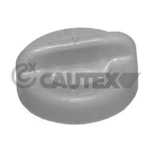 CAUTEX 756796