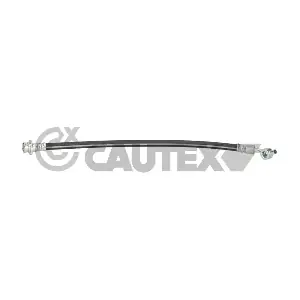 777965 CAUTEX