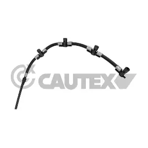 772268 CAUTEX