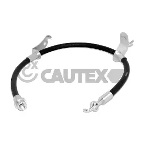 756118 CAUTEX