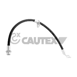 756135 CAUTEX