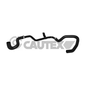 753314 CAUTEX