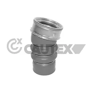 754469 CAUTEX