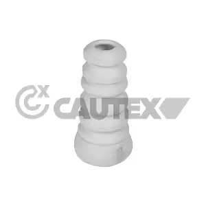 081231 CAUTEX