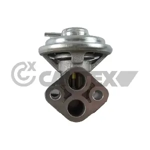 772503 CAUTEX