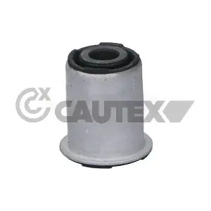 769064 CAUTEX